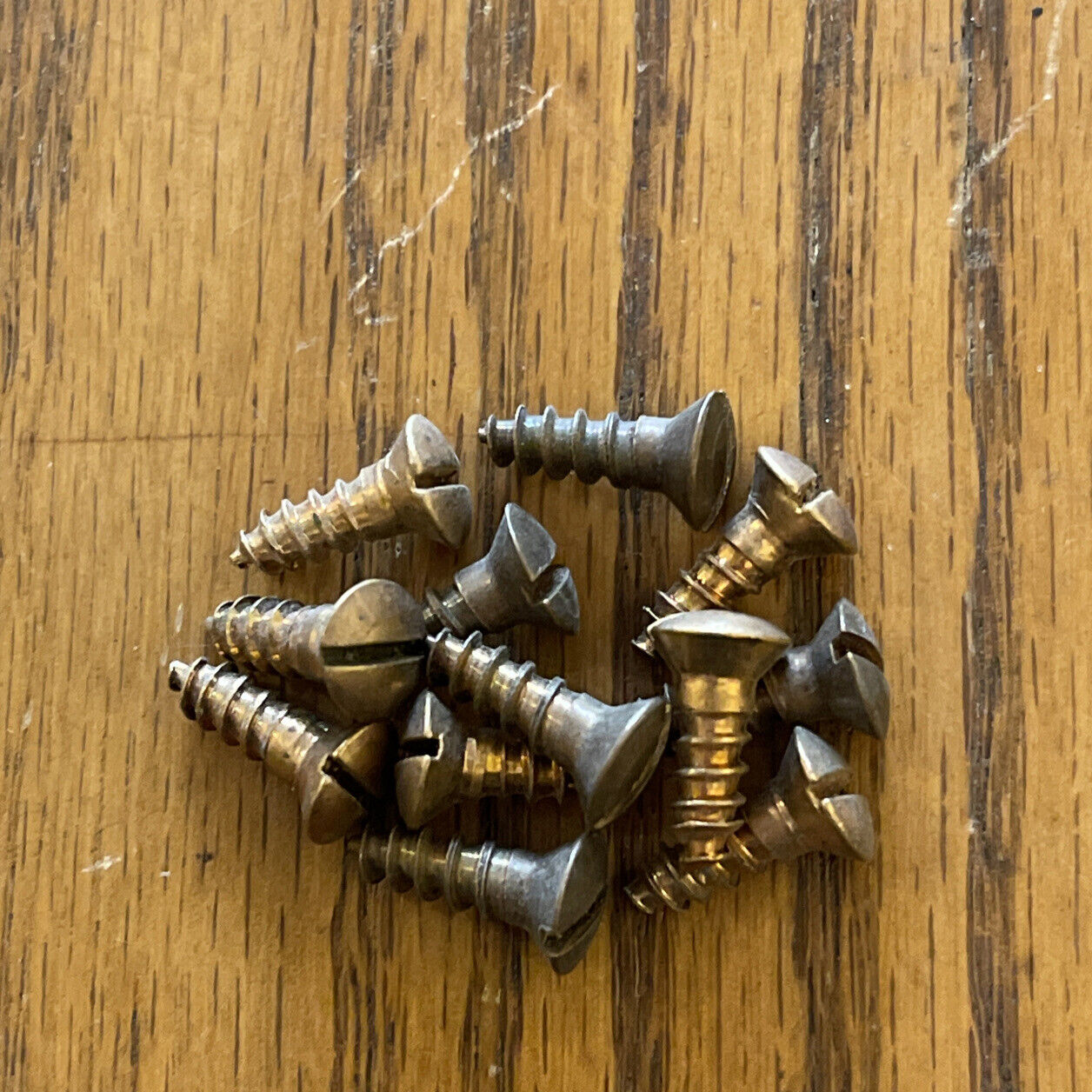 8 X 1/2 Wood Screws Slotted Oval Head Silcon Bronze